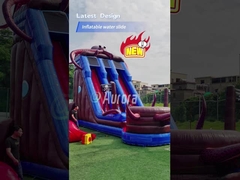 Slide de água inflável de polvo Piscina pequena jardim de trás Slide de água inflável para venda