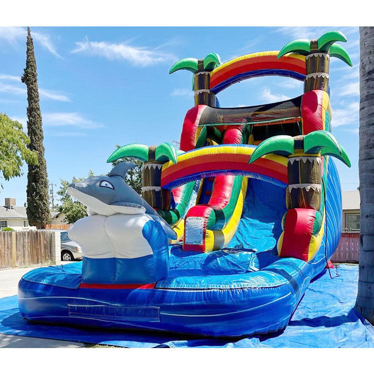 Slide de água inflável Slide de salto Pvc 18ft Slide de água de golfinho para piscina