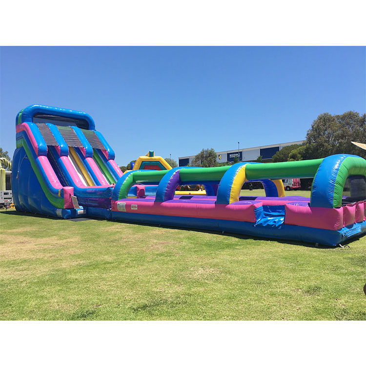 Slide de água inflável Slide de salto Pvc 18ft Slide de água de golfinho para piscina